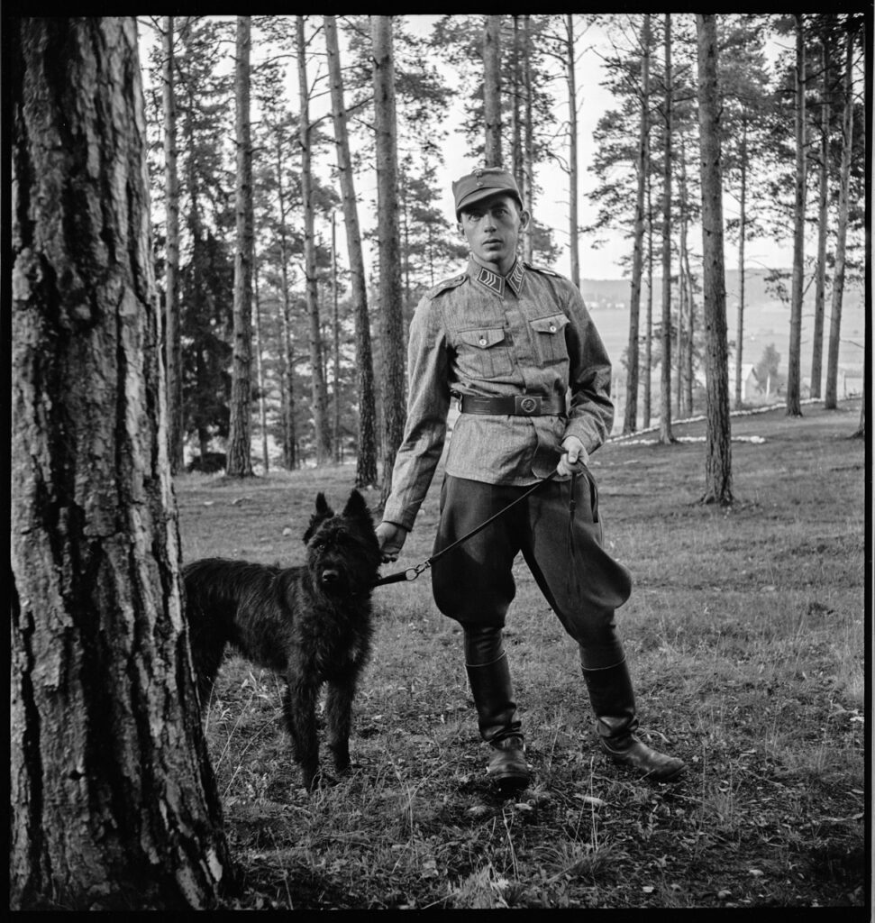 Military dog training school. BANC PIC 1982.111: box 11, item 558